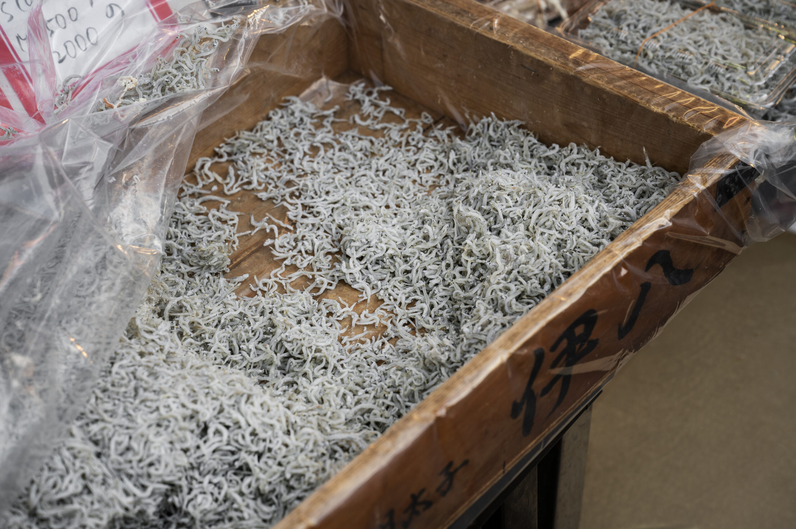 close-up-japanese-street-food